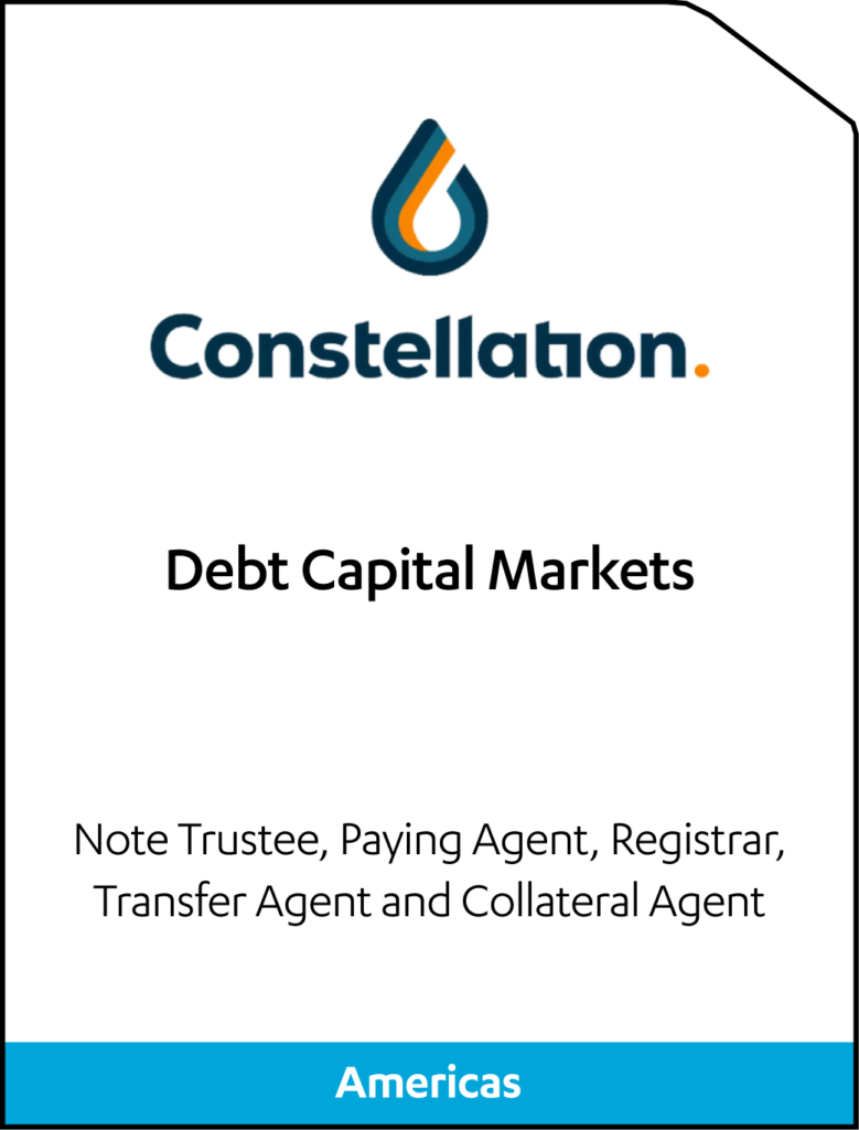 Constellation Oil Services